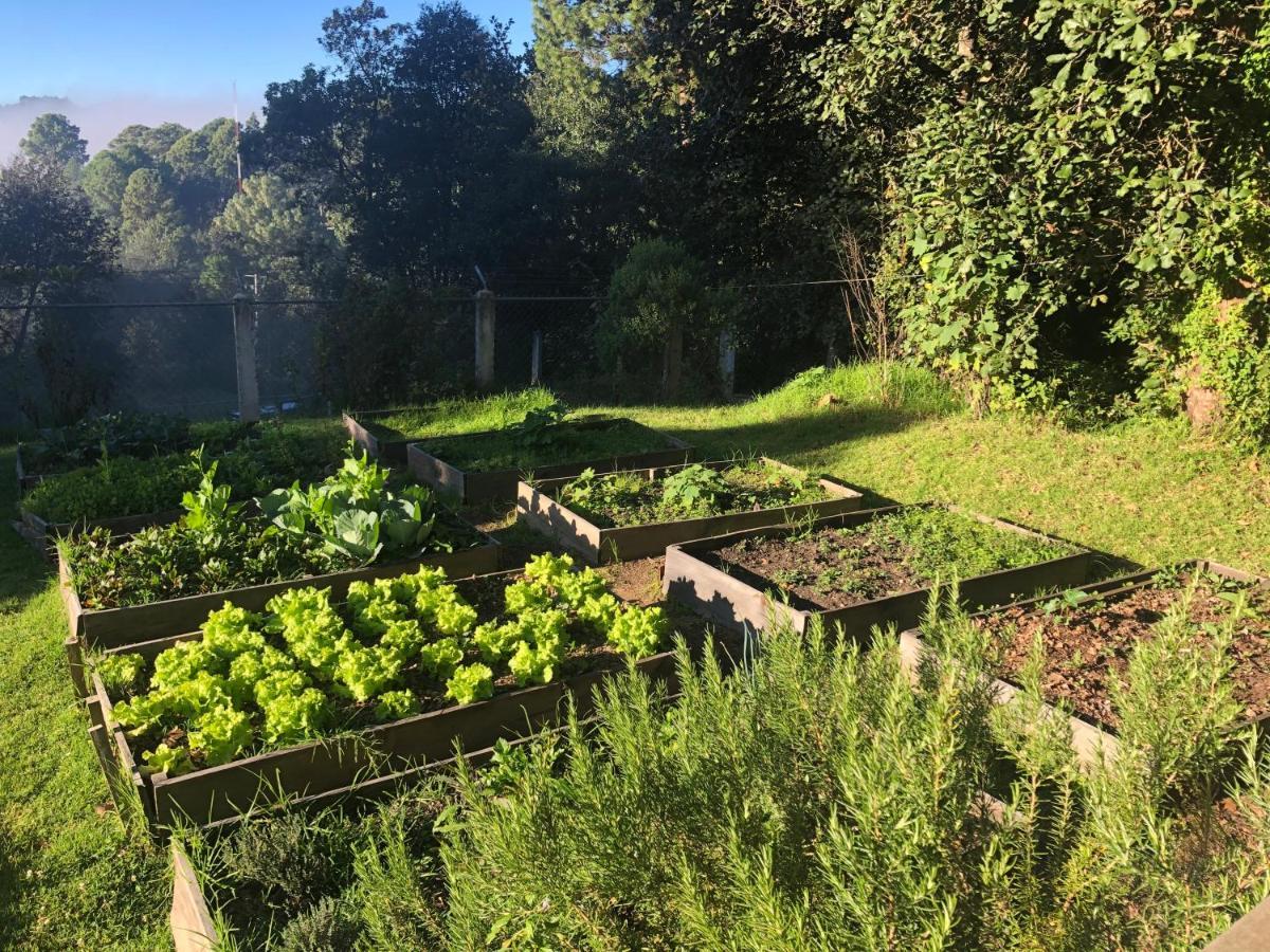 Gaia Nature Hotel San Cristóbal de Las Casas Kültér fotó