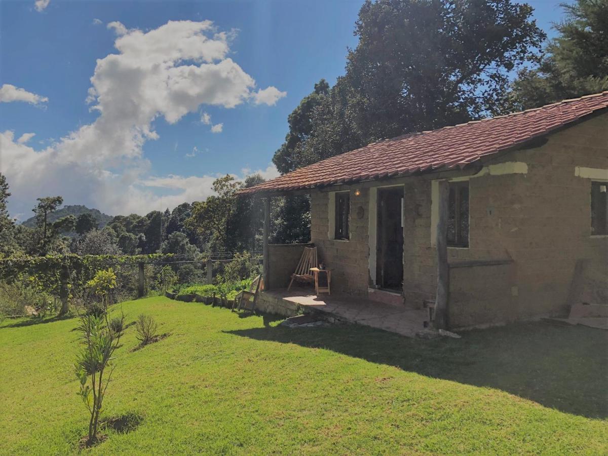 Gaia Nature Hotel San Cristóbal de Las Casas Kültér fotó