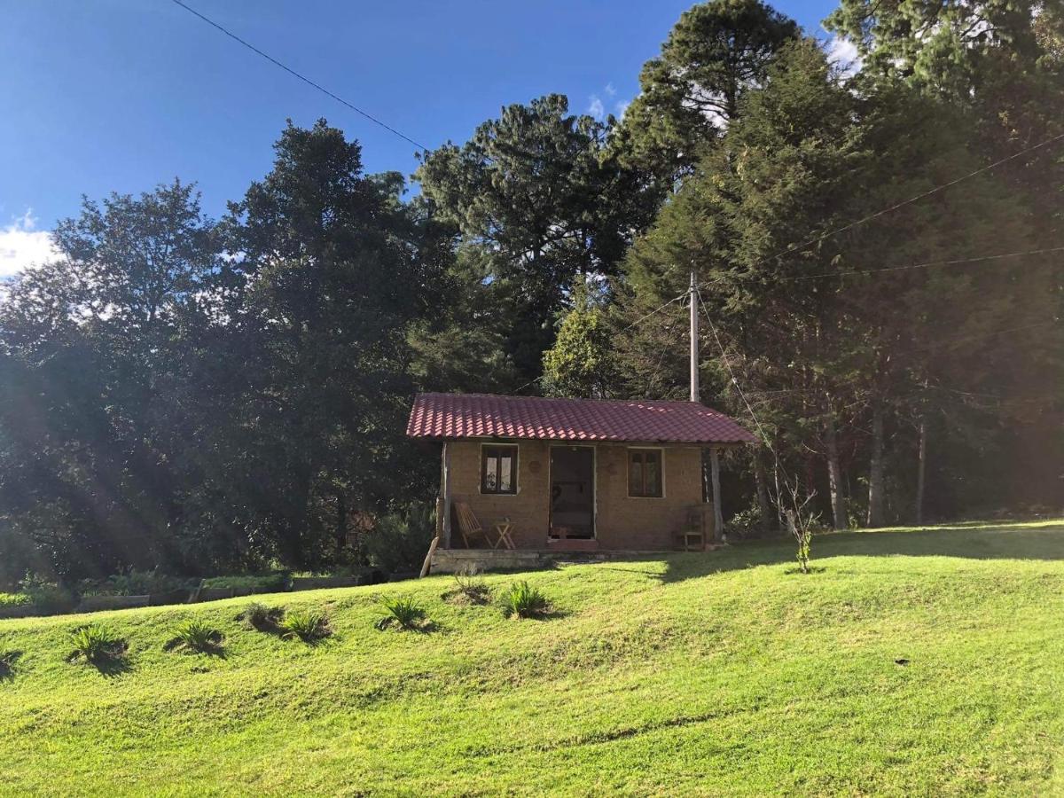 Gaia Nature Hotel San Cristóbal de Las Casas Kültér fotó